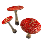 leapingtoadstool byproduct plants 150px hogwarts legacy wiki guide