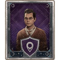 the sky is the limit side mission hogwarts legacy wiki guide min