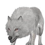 the white wolf 150px enemies hogwarts legacy wiki guide